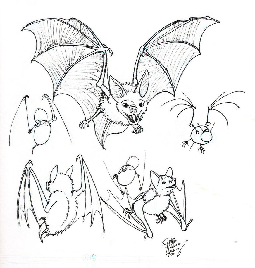 Bat Drawing Creative Art