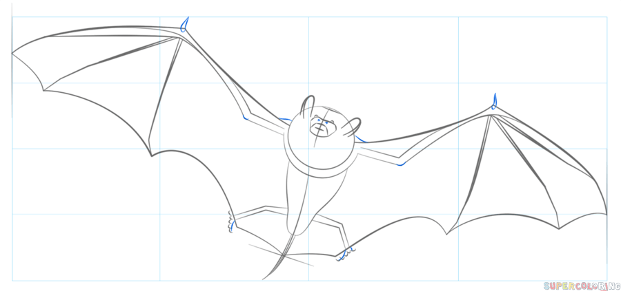 Bat Drawing Image