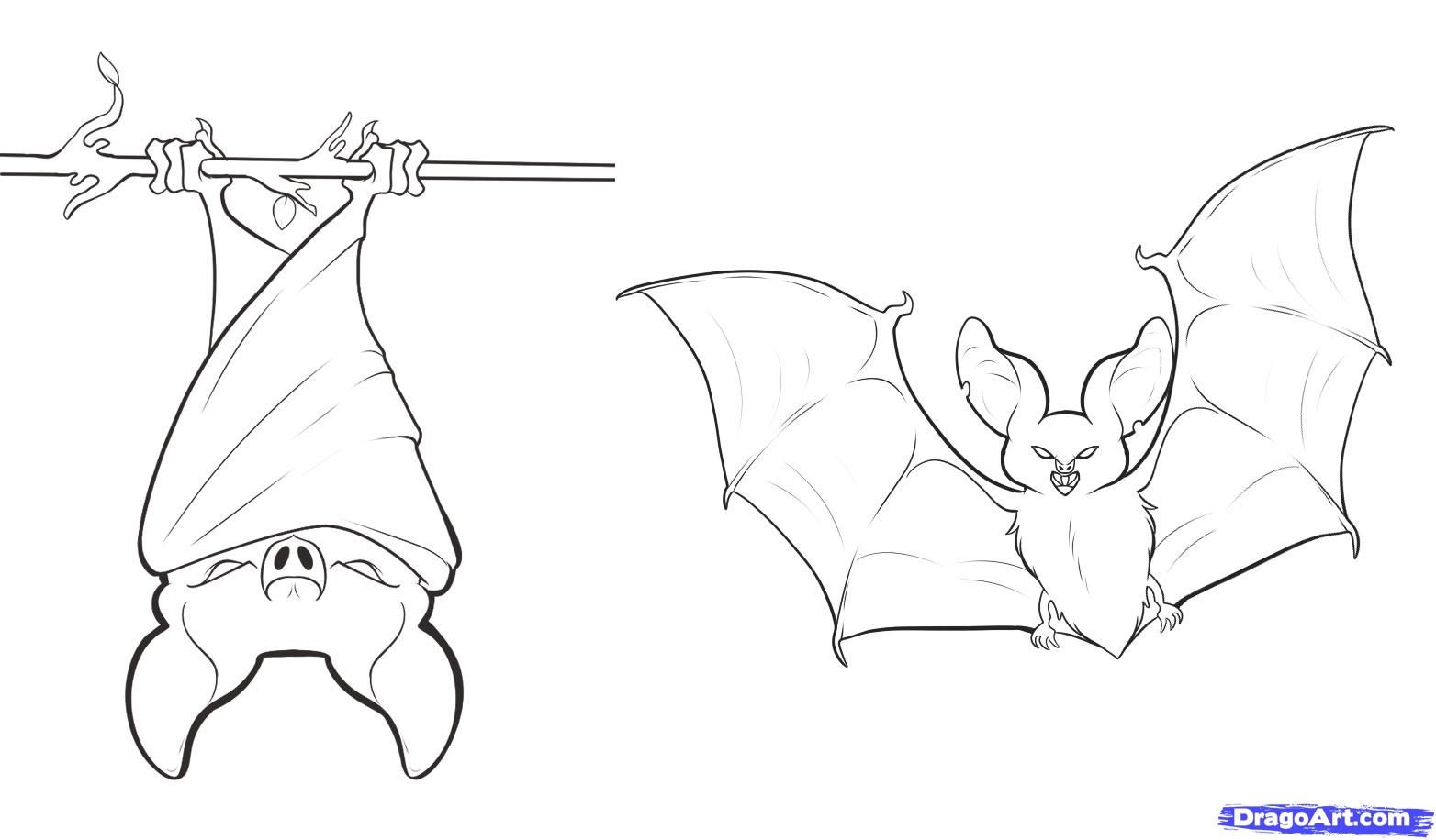 Bat Drawing Pics