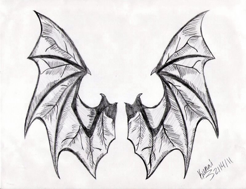 Bat Photo Drawing