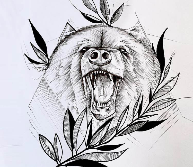Bear Drawing Image