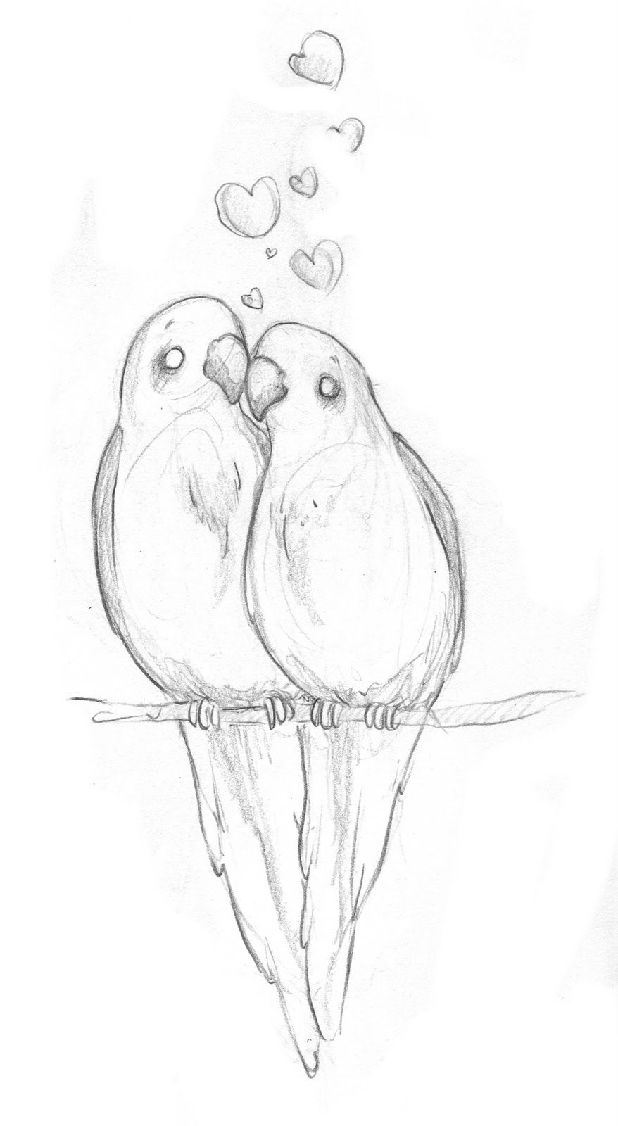 Birds Drawing Photo
