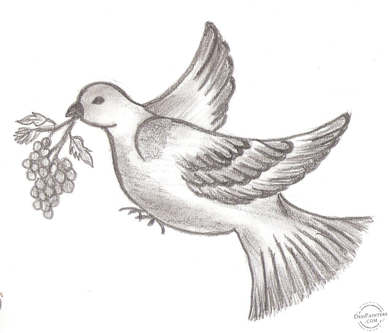 Birds Drawing Sketch - Drawing Skill