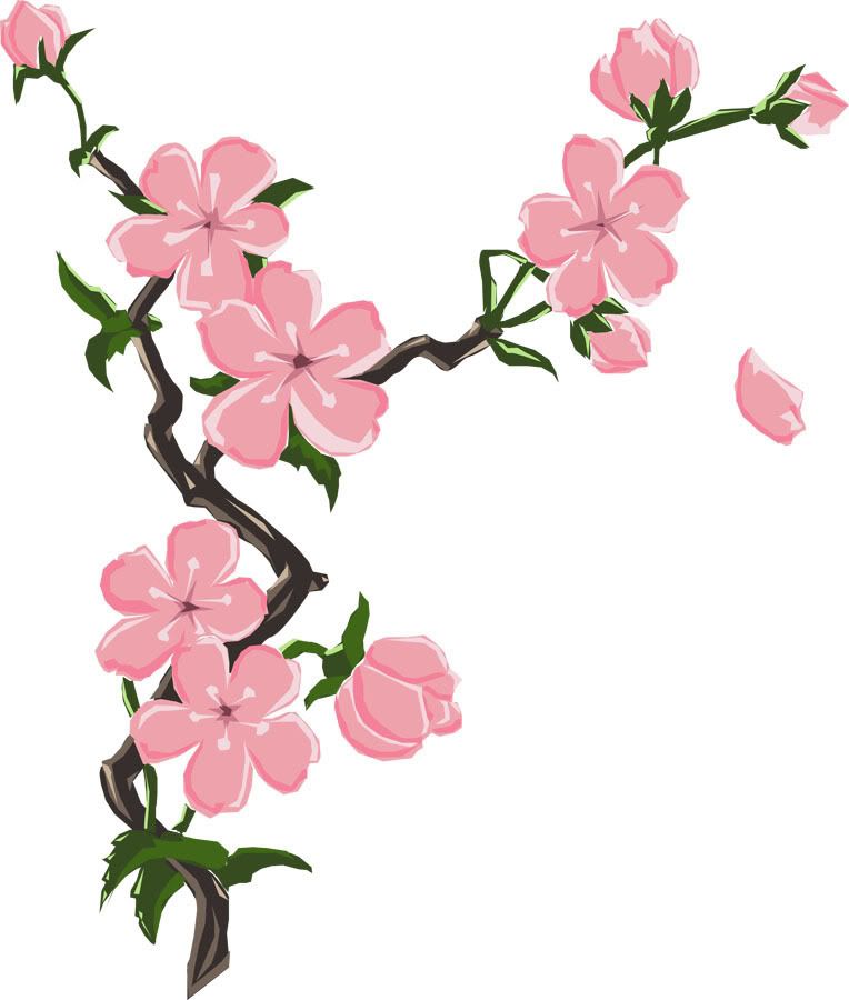 Blossom Flowers Drawing Image
