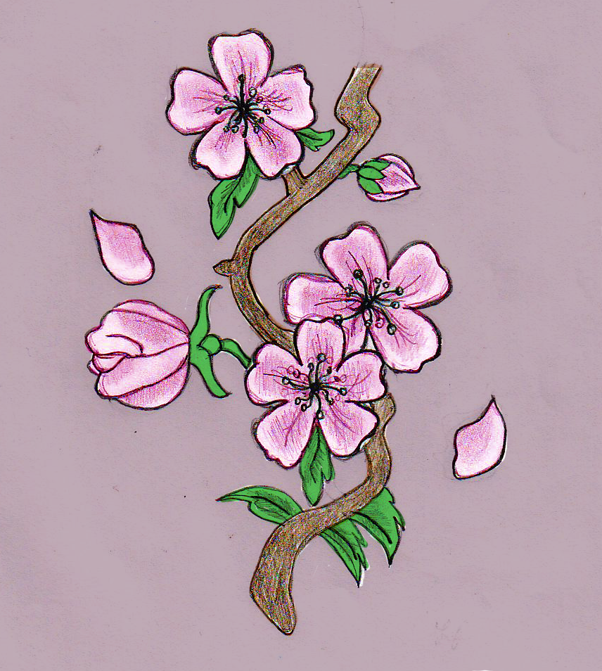 Blossom Flowers Drawing Picture
