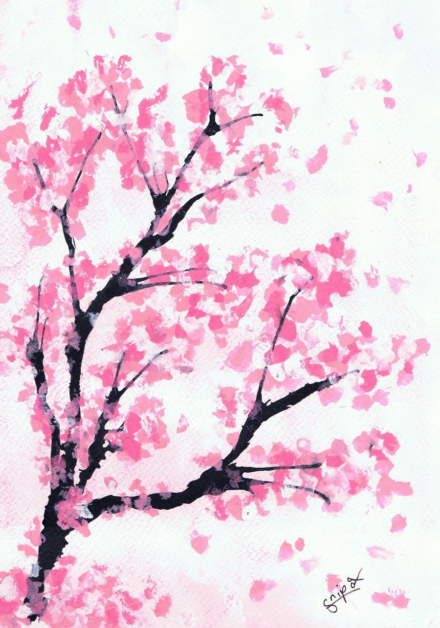 Blossom Flowers Drawing Realistic