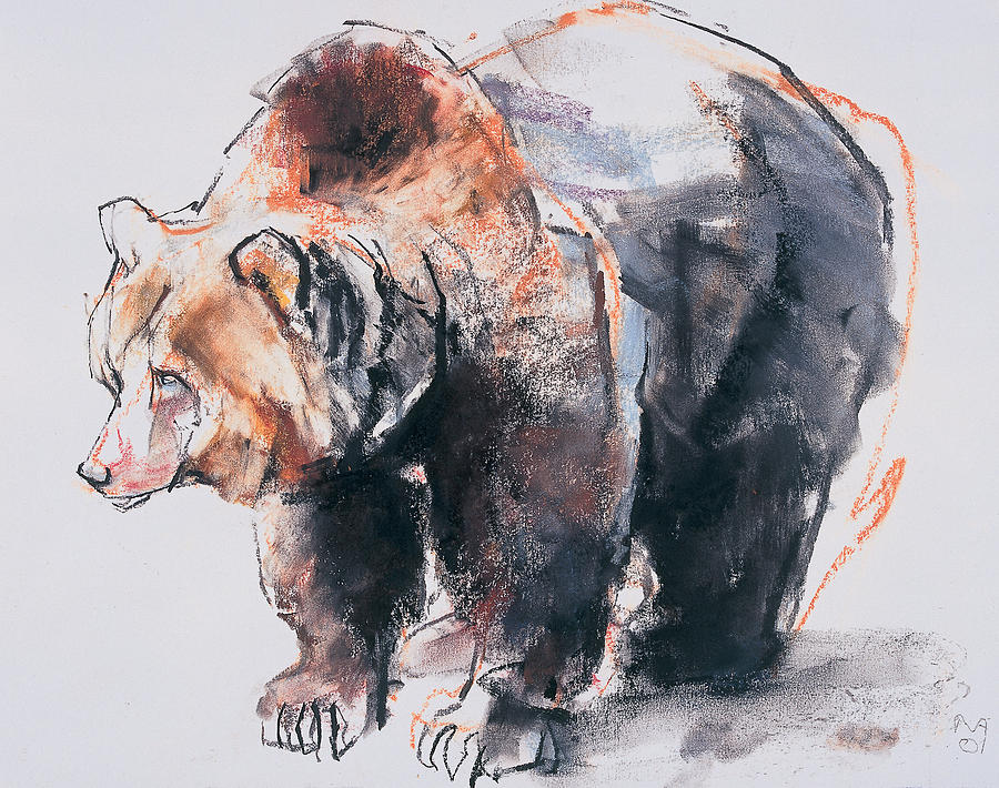 Brown Bear Drawing Art