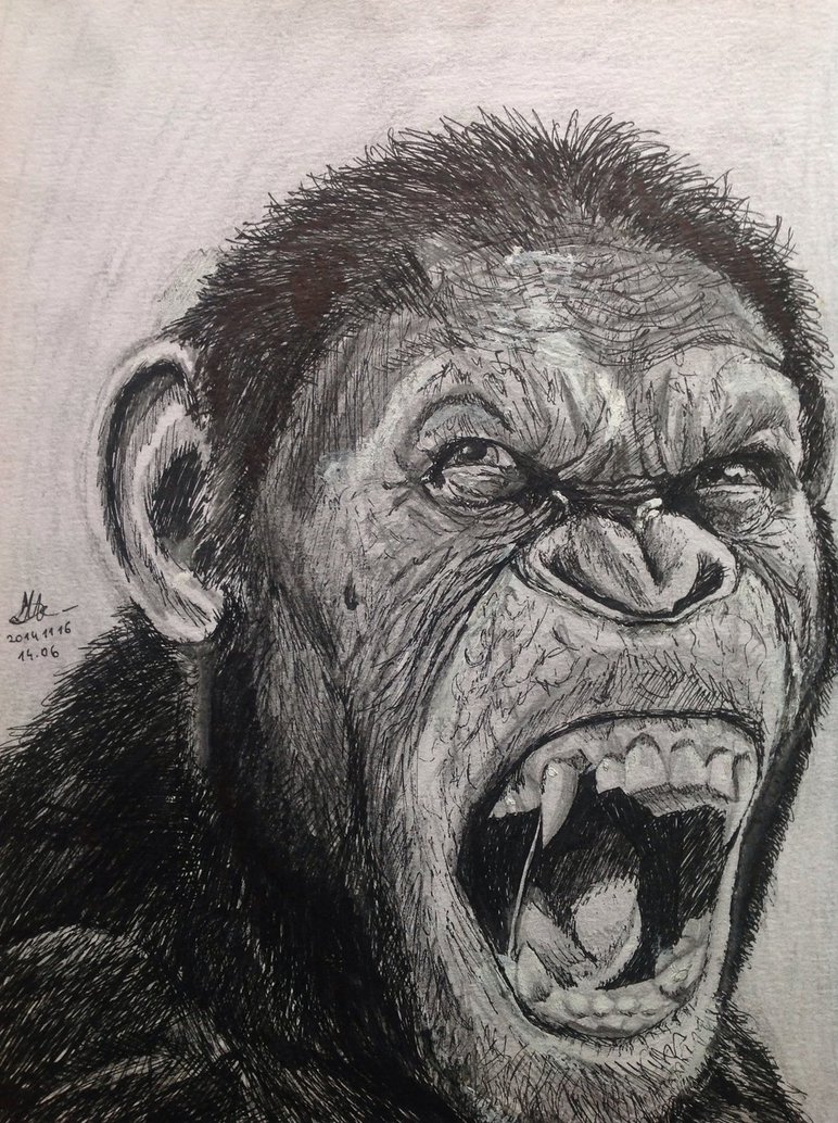Caesar Ape Art Drawing