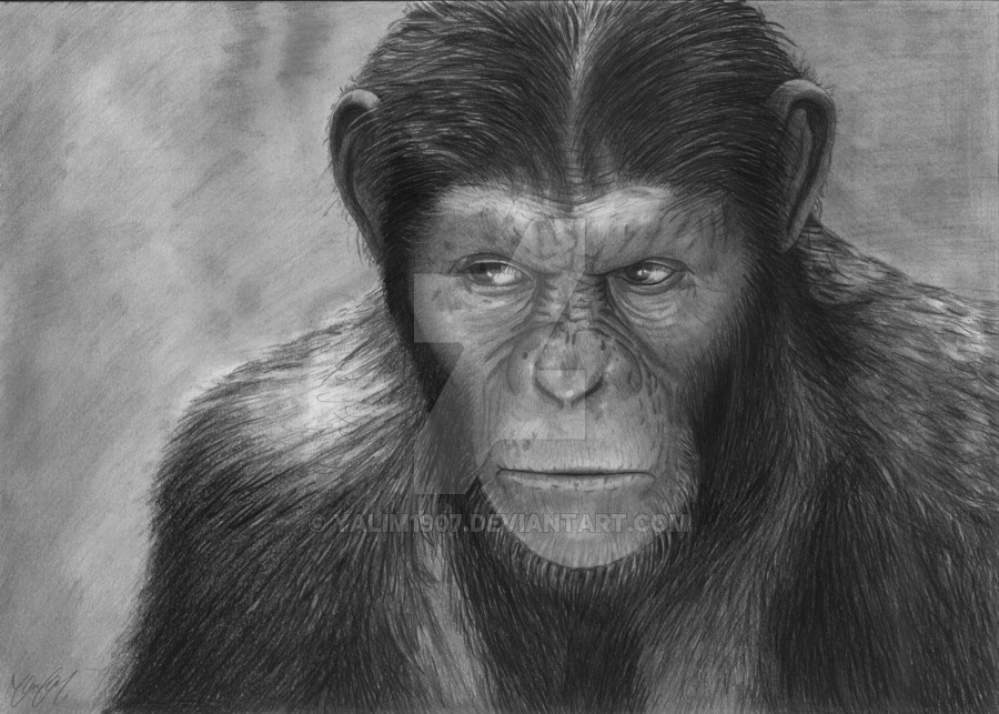 Caesar Ape Drawing Beautiful Image