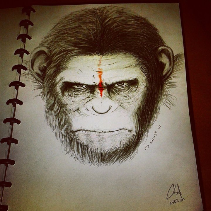 Caesar Ape Drawing Best
