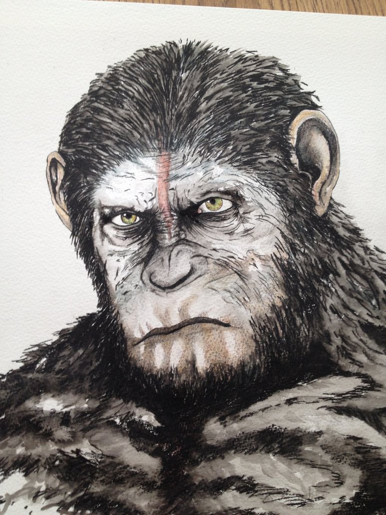 Caesar Ape Drawing Creative Art