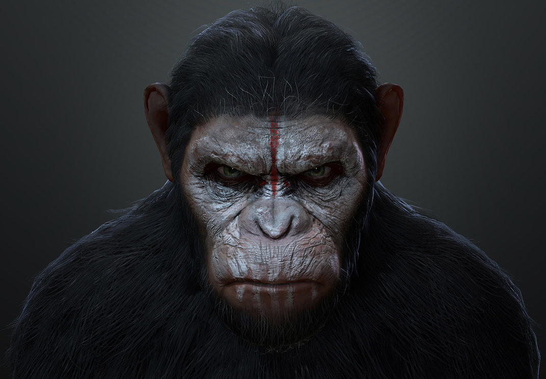 Download Planet Of The Apes Caesar Protagonist Wallpaper  Wallpaperscom