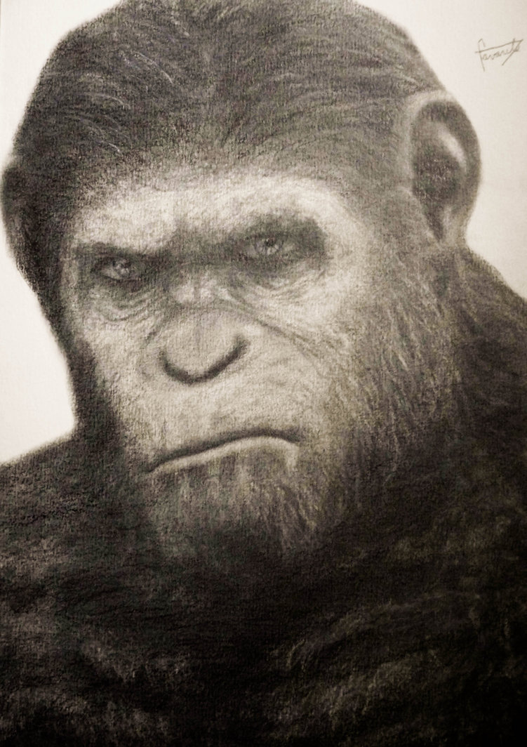 Caesar Ape Drawing Photo
