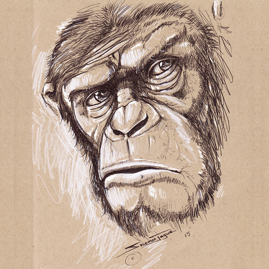 Caesar Ape Drawing Photos