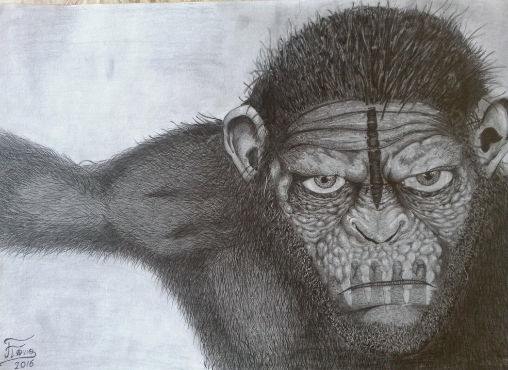 Caesar Ape Drawing Pic