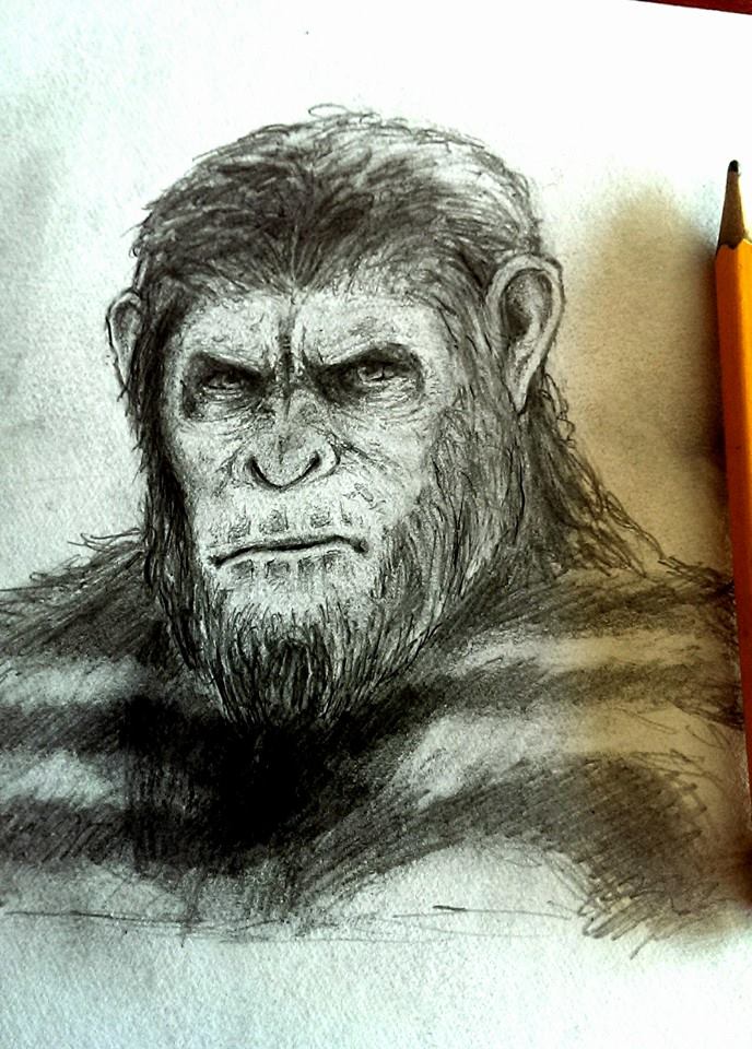 Caesar Ape Drawing Pics