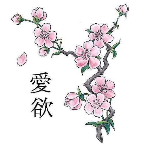 Cherry Blossom Drawing Image