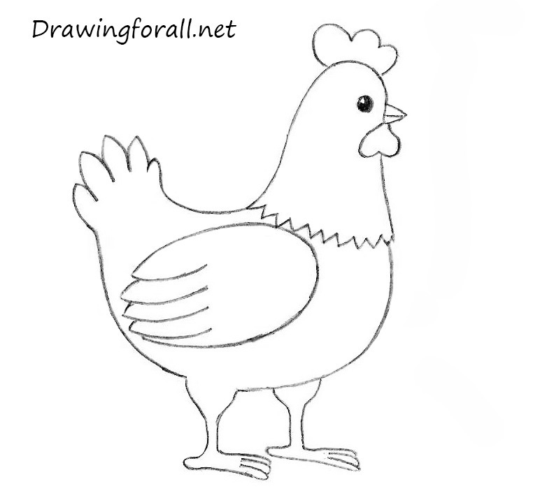 Chicken Drawing Image