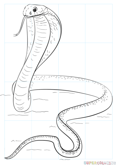 Cobra Art Drawing