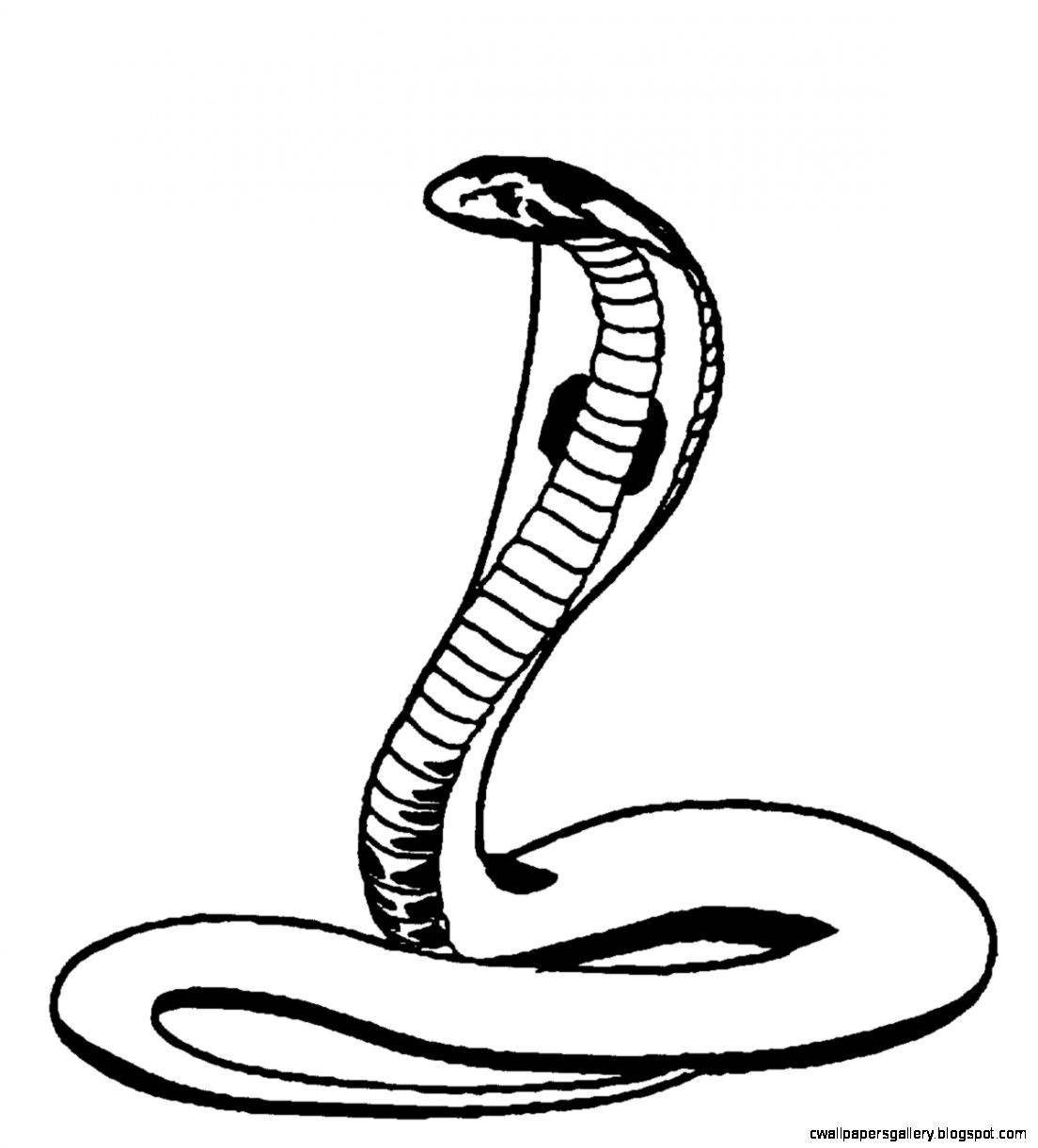 Cobra Drawing Art