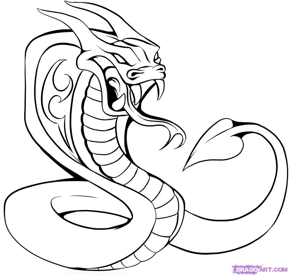 Cobra Drawing Pic