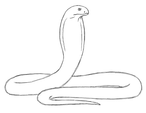 Cobra Drawing Realistic