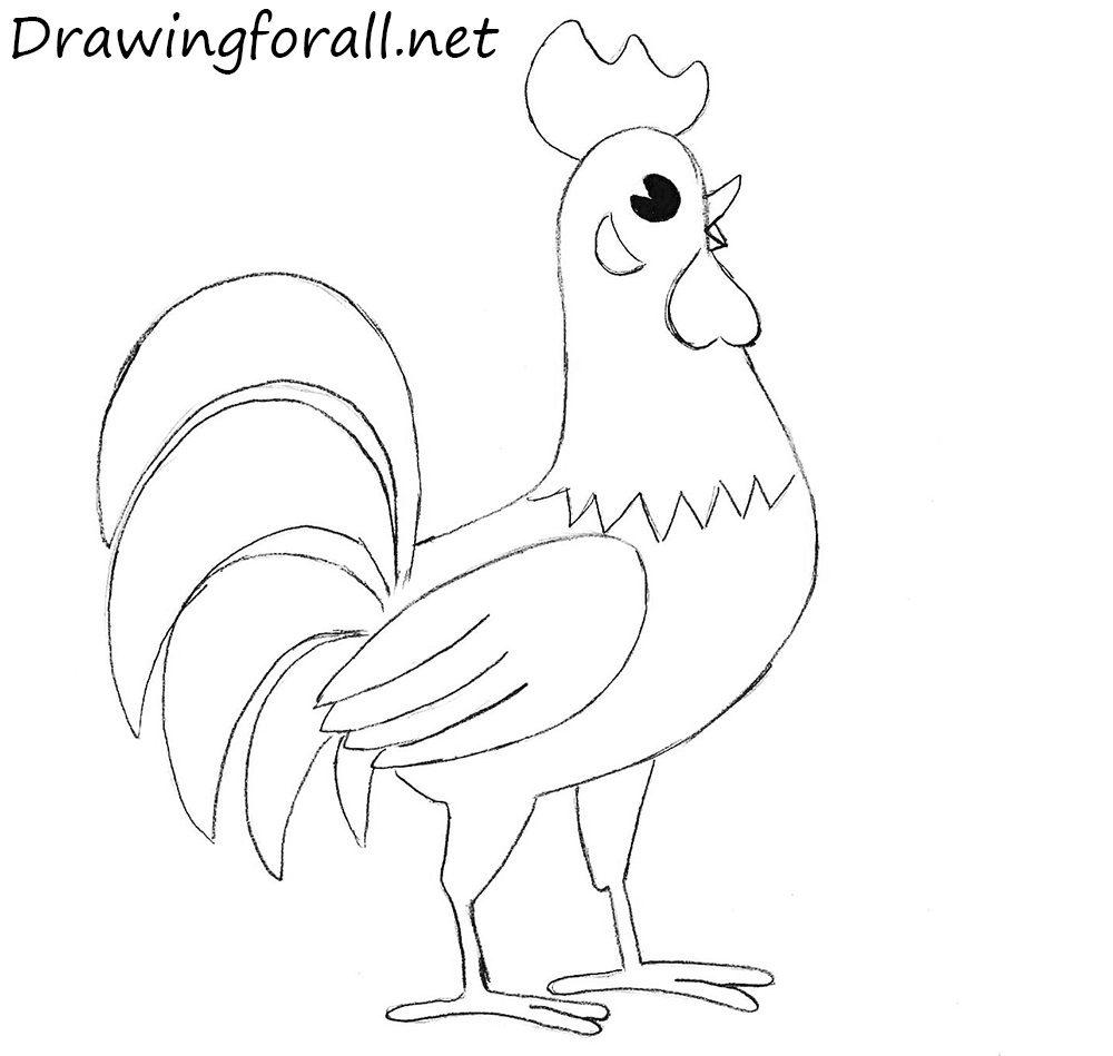 Cock Drawing Pics
