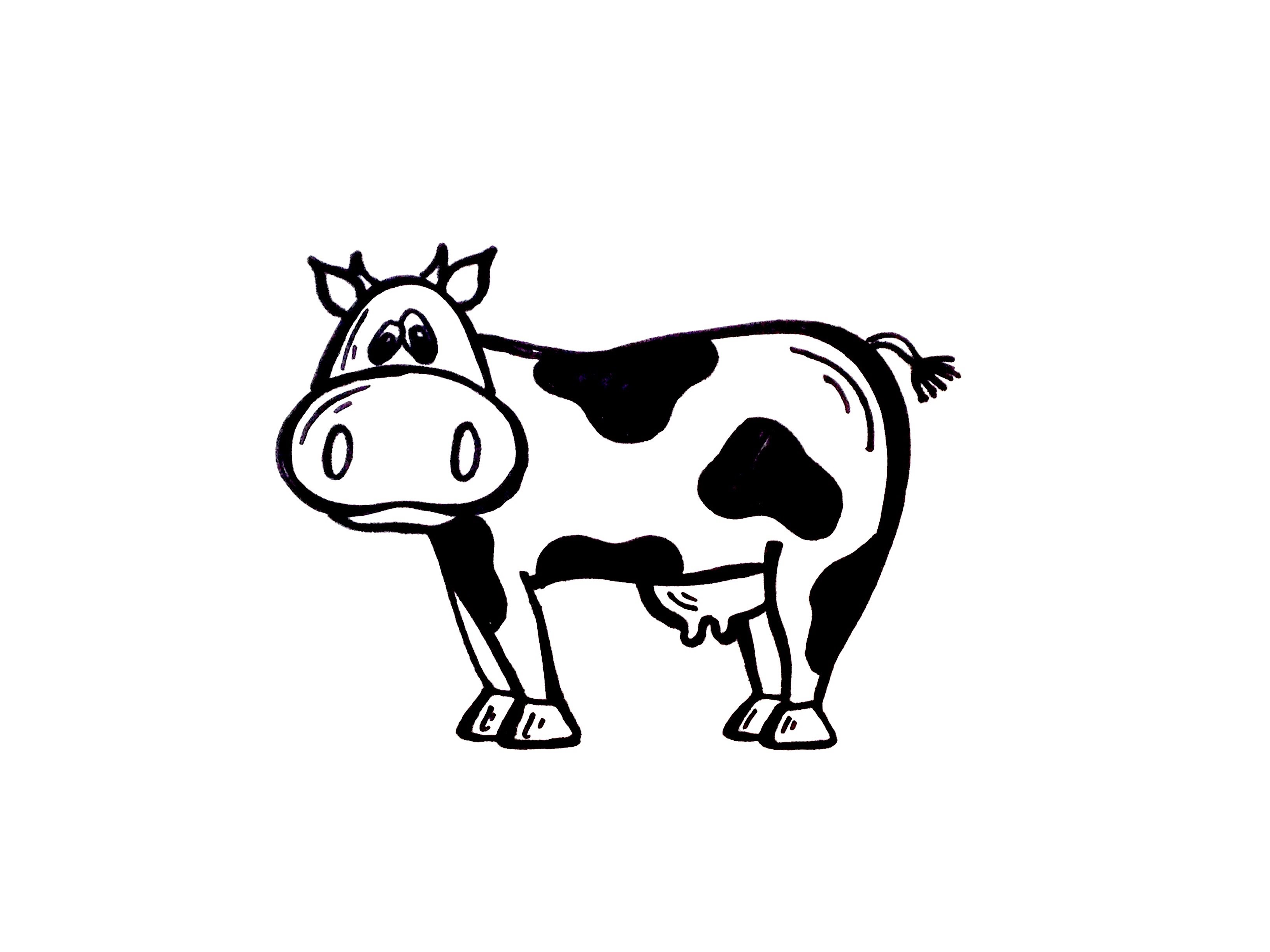 Cow Drawing Best