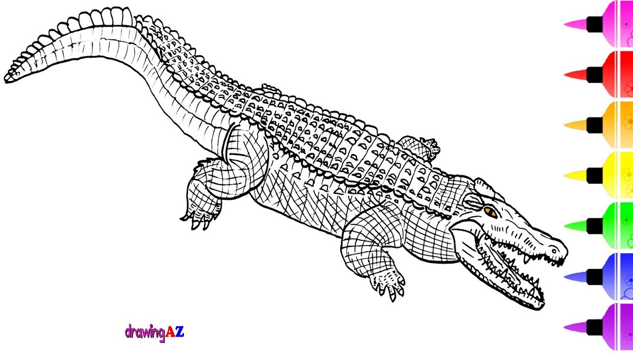 Crocodile Drawing Sketch