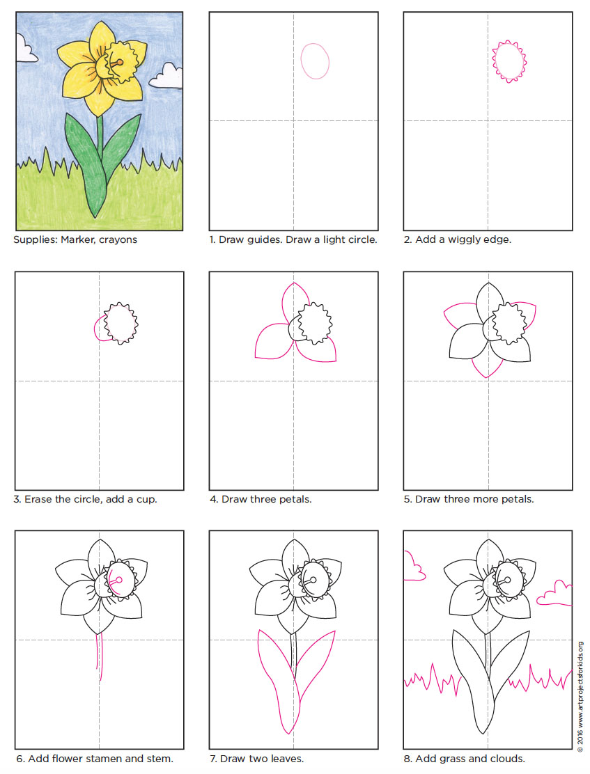 Daffodil Drawing Image