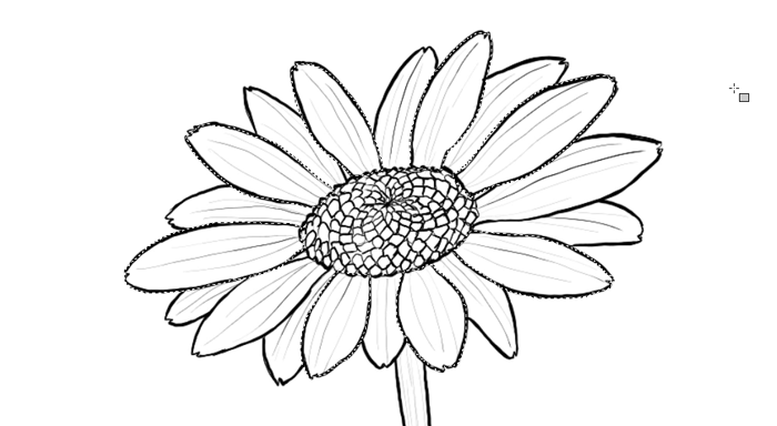Daisy Drawing Images