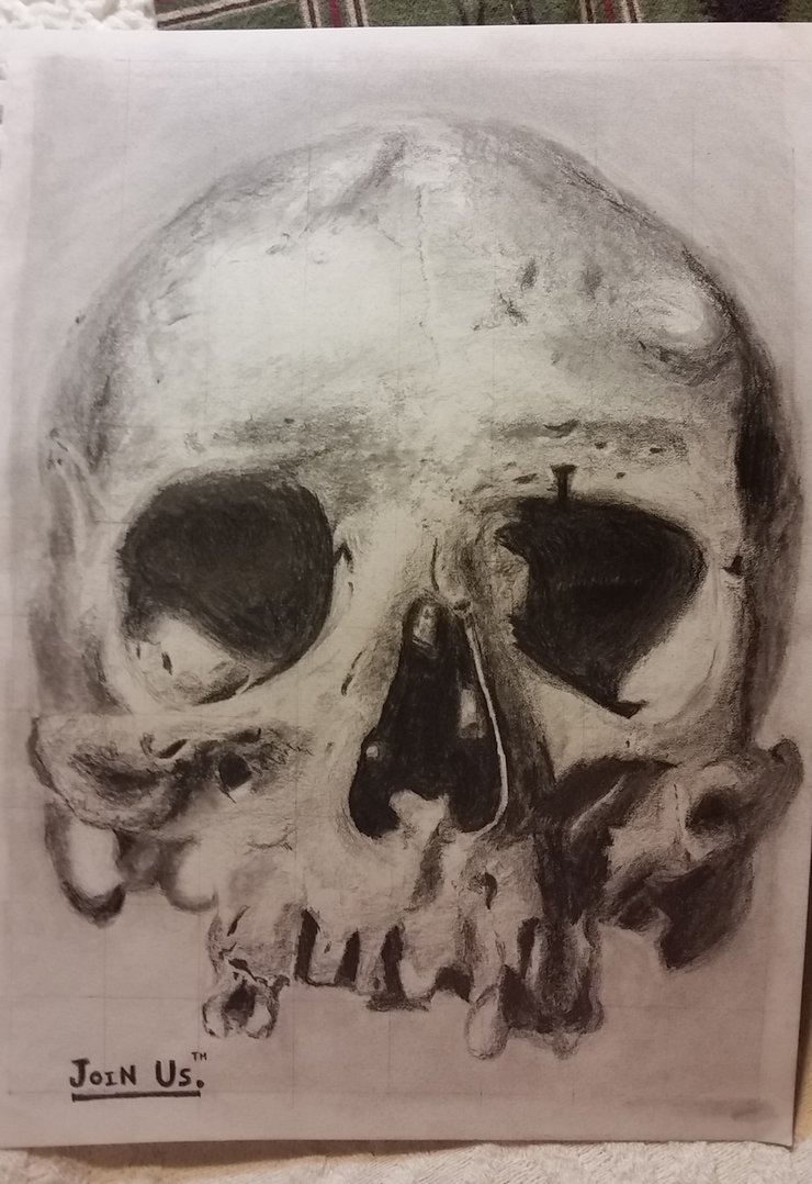 Decaying Skull Drawing Amazing