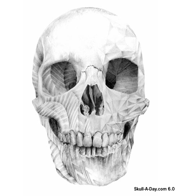 Decaying Skull Drawing Images