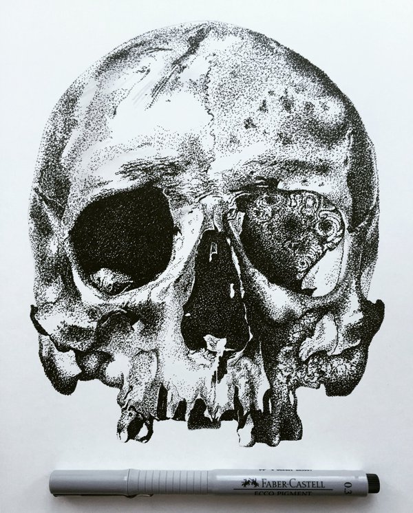 Decaying Skull Drawing Photo
