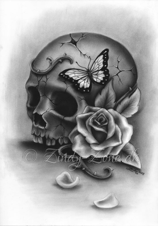 Decaying Skull Drawing Pic