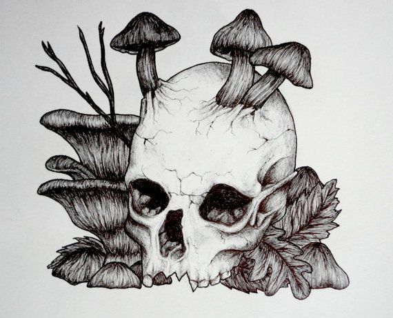 Decaying Skull Drawing Picture