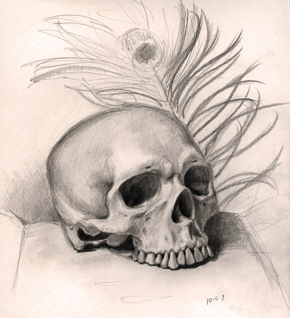 Decaying Skull Drawing Sketch