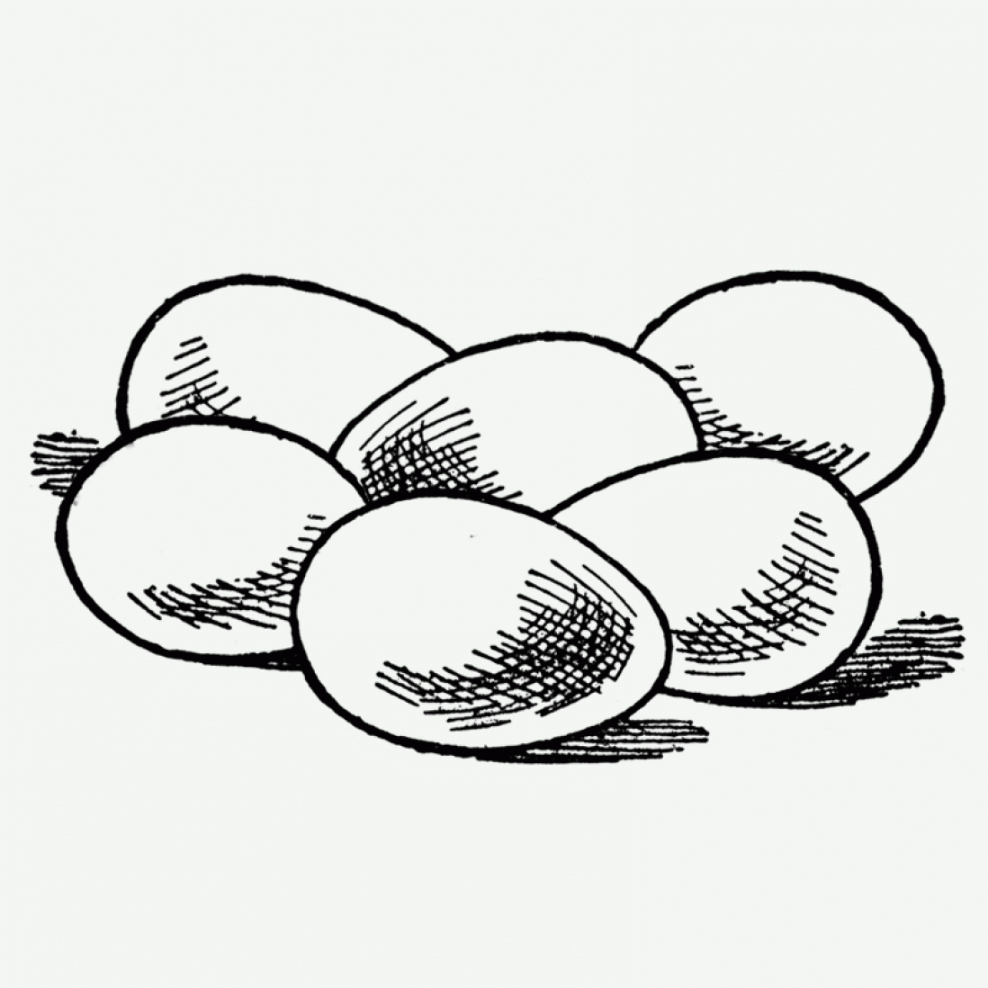 Eggs Drawing Photo