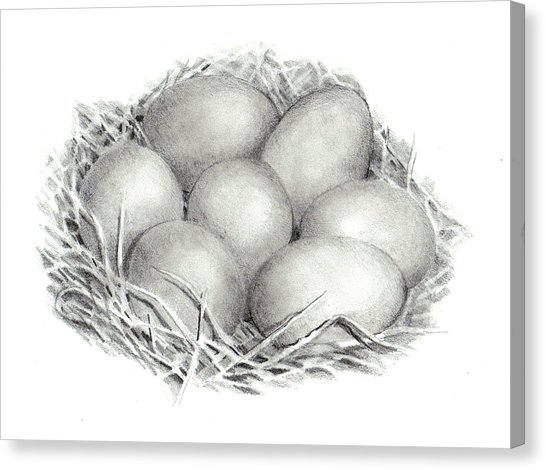 Eggs Drawing