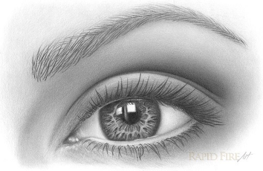 Eyebrows Drawing Beautiful Image