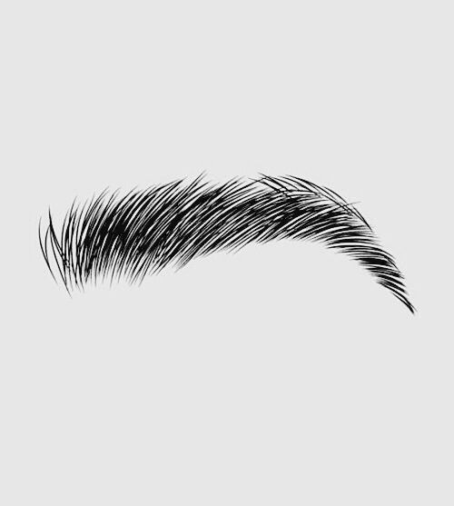 Eyebrows Drawing Image