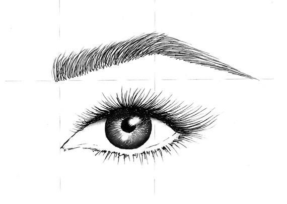 Eyebrows Drawing Picture
