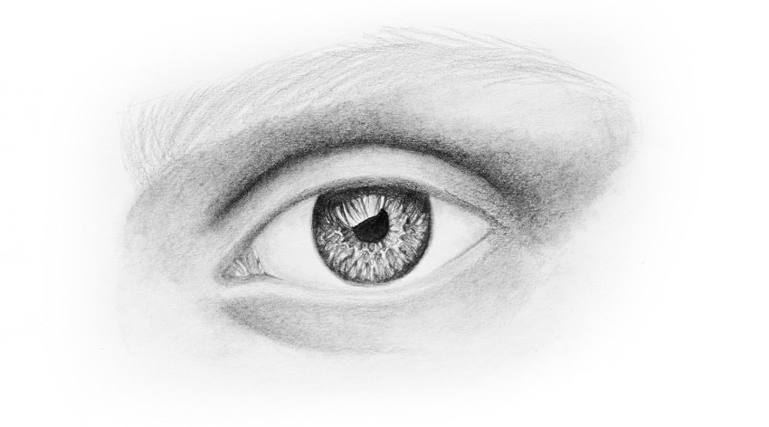 Eyebrows Drawing Realistic