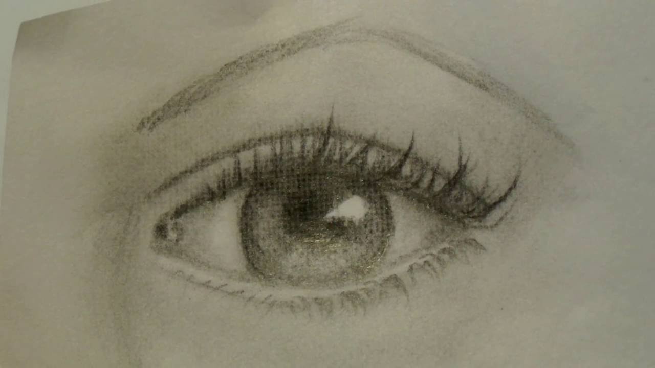 Eyelashes Drawing Realistic