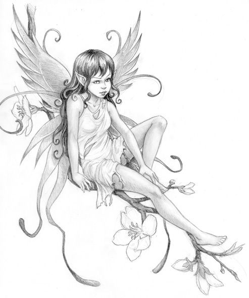 Fairy Drawing Photo