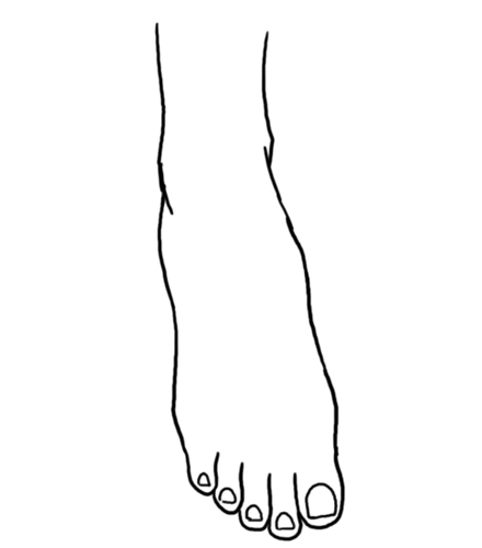Feet Art Drawing