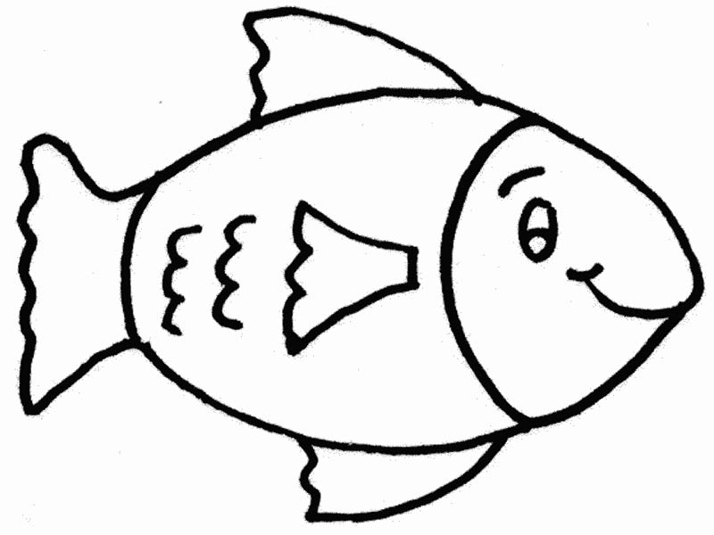 Fish Drawing Art