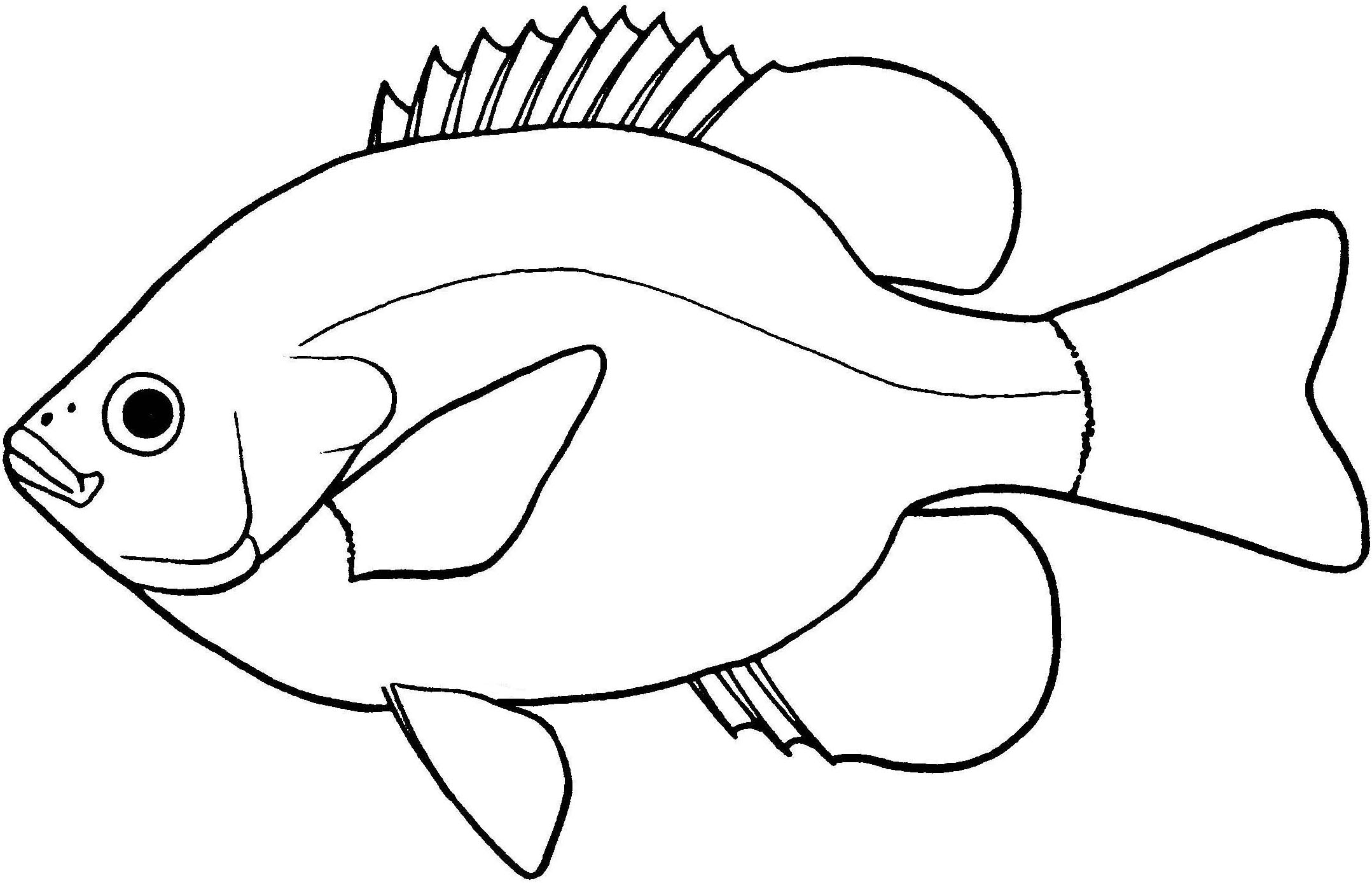 Fish Drawing Pic