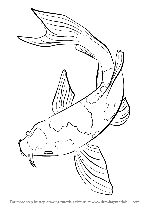 Fish Drawing Pics