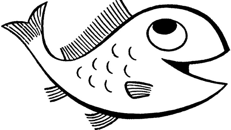 Fish Drawing Realistic